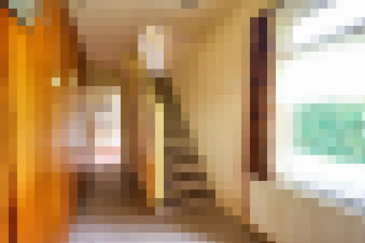 Heereweg 203 Schoorl thumbnail 16