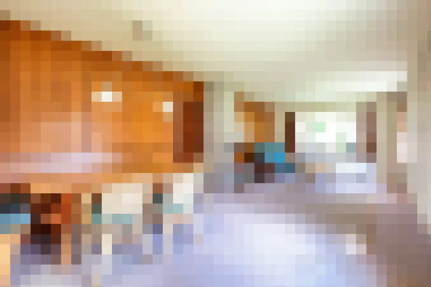 Heereweg 203 Schoorl thumbnail 19