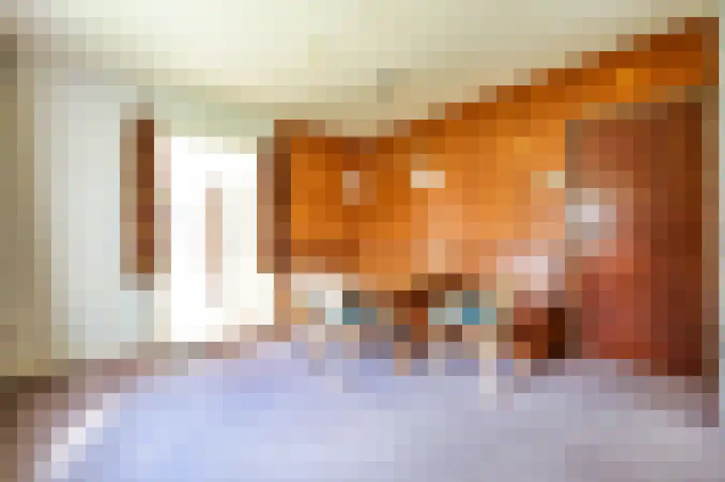 Heereweg 203 Schoorl thumbnail 22