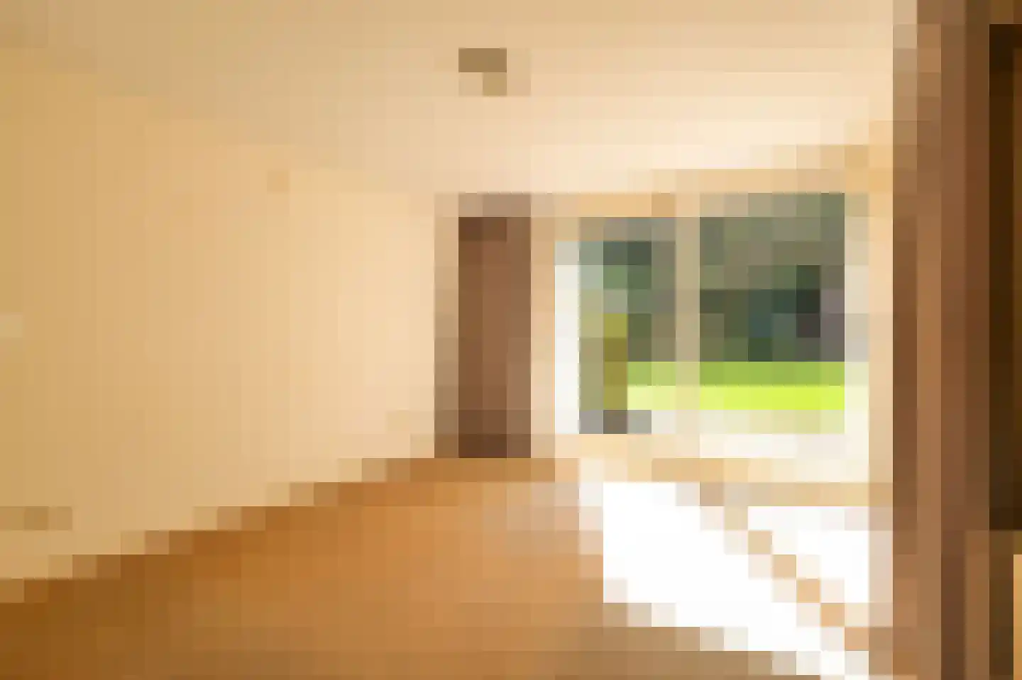 Heereweg 203 Schoorl thumbnail 23