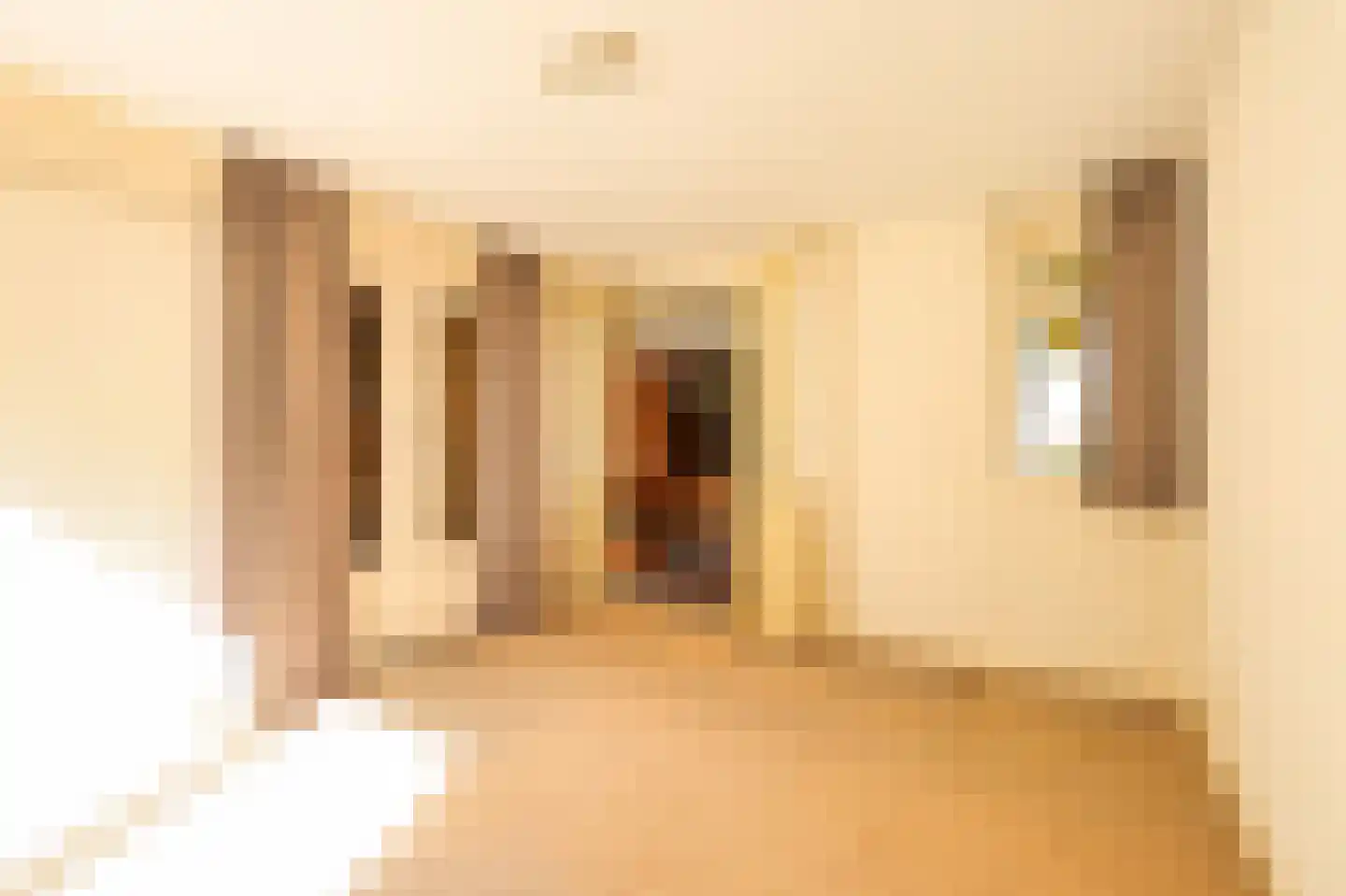 Heereweg 203 Schoorl thumbnail 24