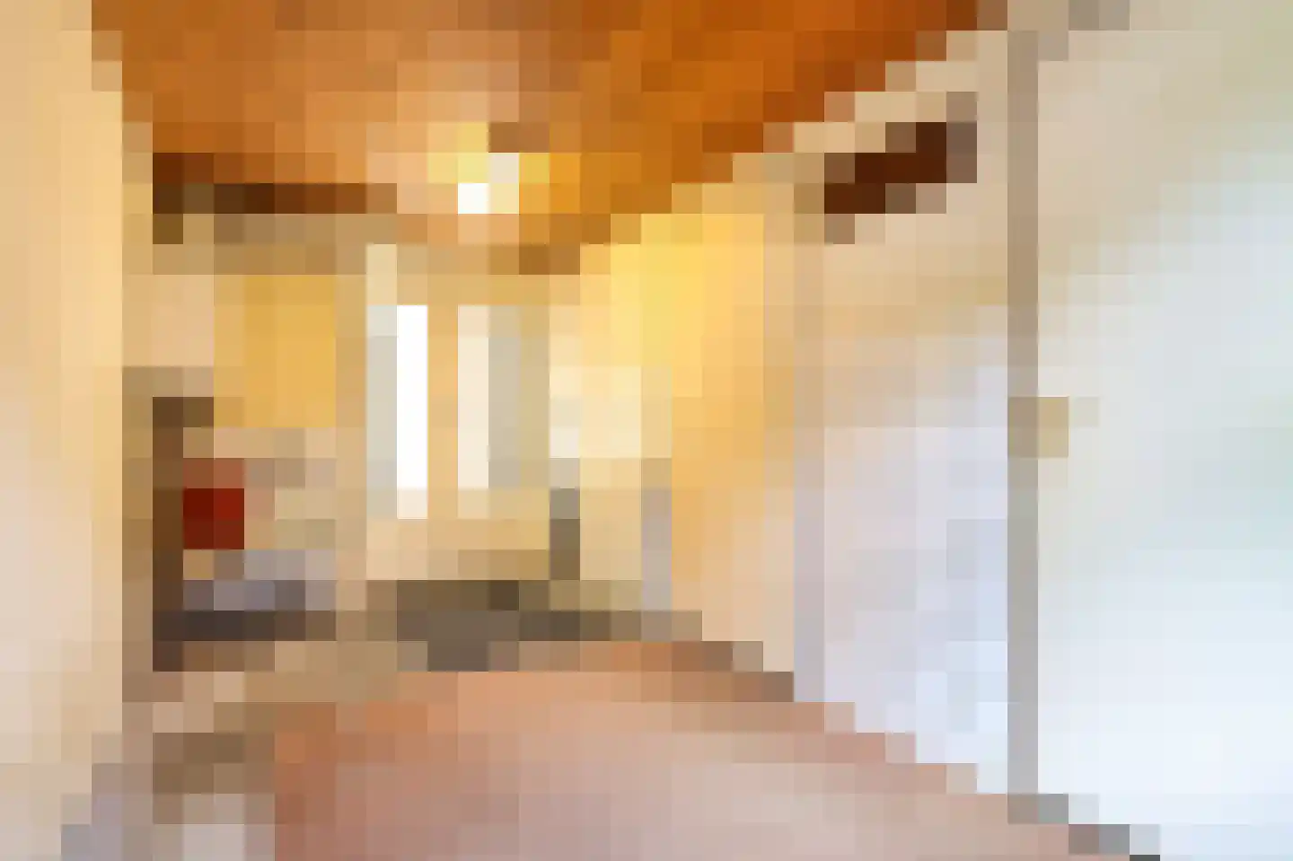 Heereweg 203 Schoorl thumbnail 26