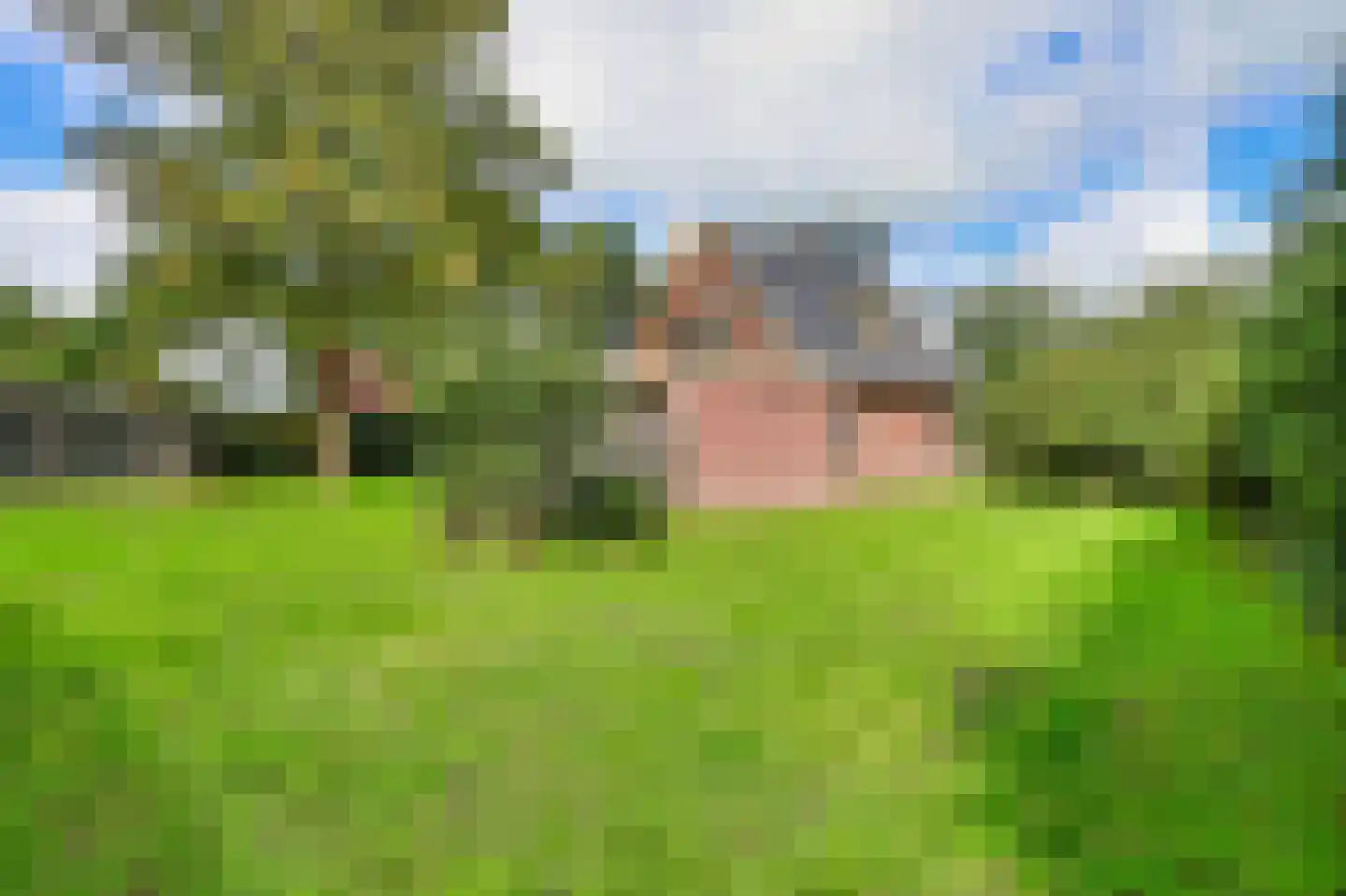 Heereweg 203 Schoorl thumbnail 6