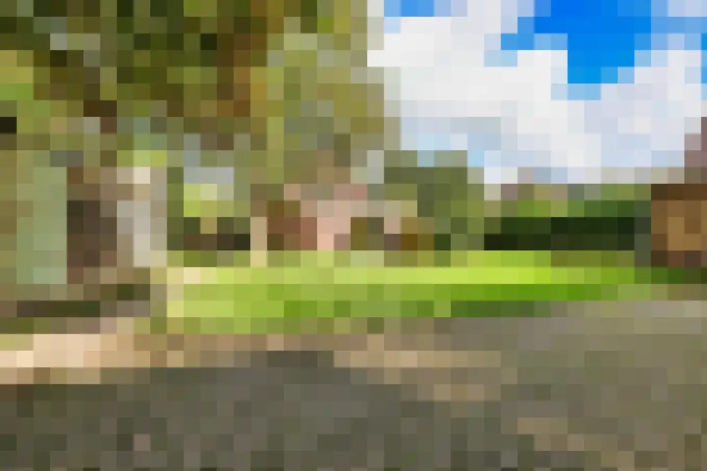 Heereweg 203 Schoorl thumbnail 7