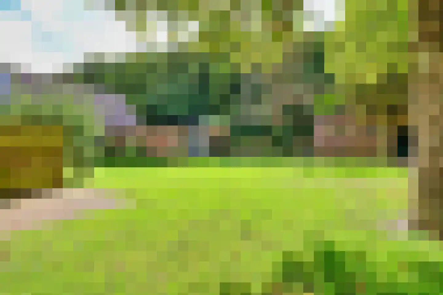Heereweg 203 Schoorl thumbnail 8