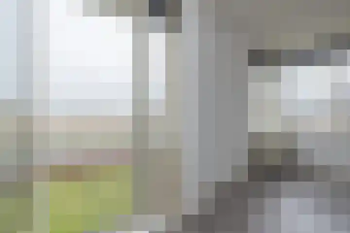 Heereweg 21 T Lisse thumbnail 12