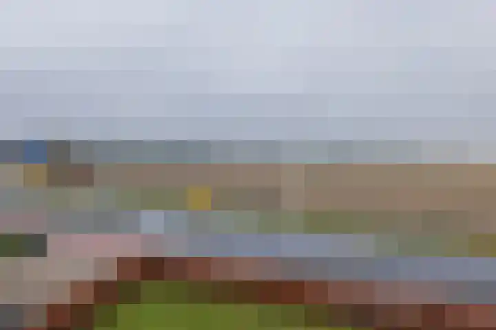 Heereweg 21 T Lisse thumbnail 13
