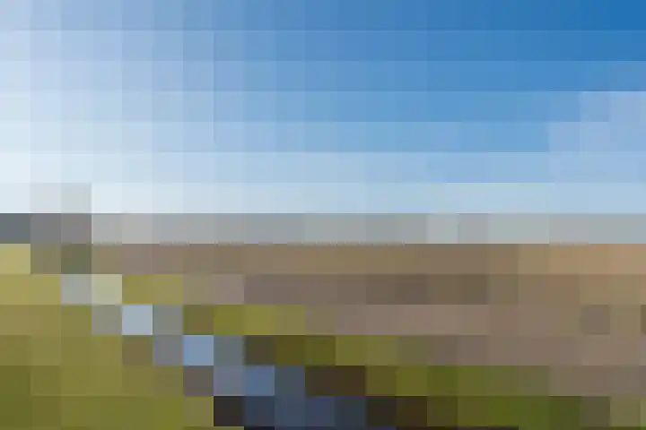 Heereweg 21 U Lisse thumbnail 22