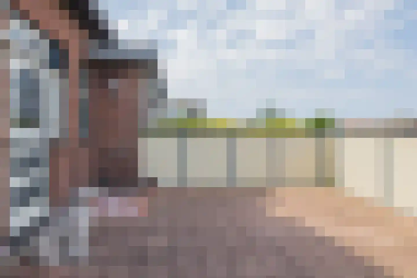 Heereweg 216 Lisse thumbnail 18