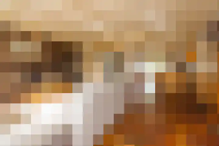 Heereweg 216 Lisse thumbnail 28