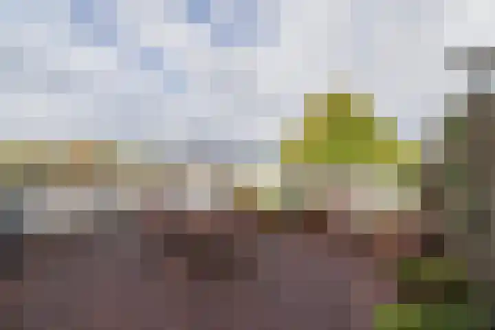 Heereweg 216 Lisse thumbnail 33