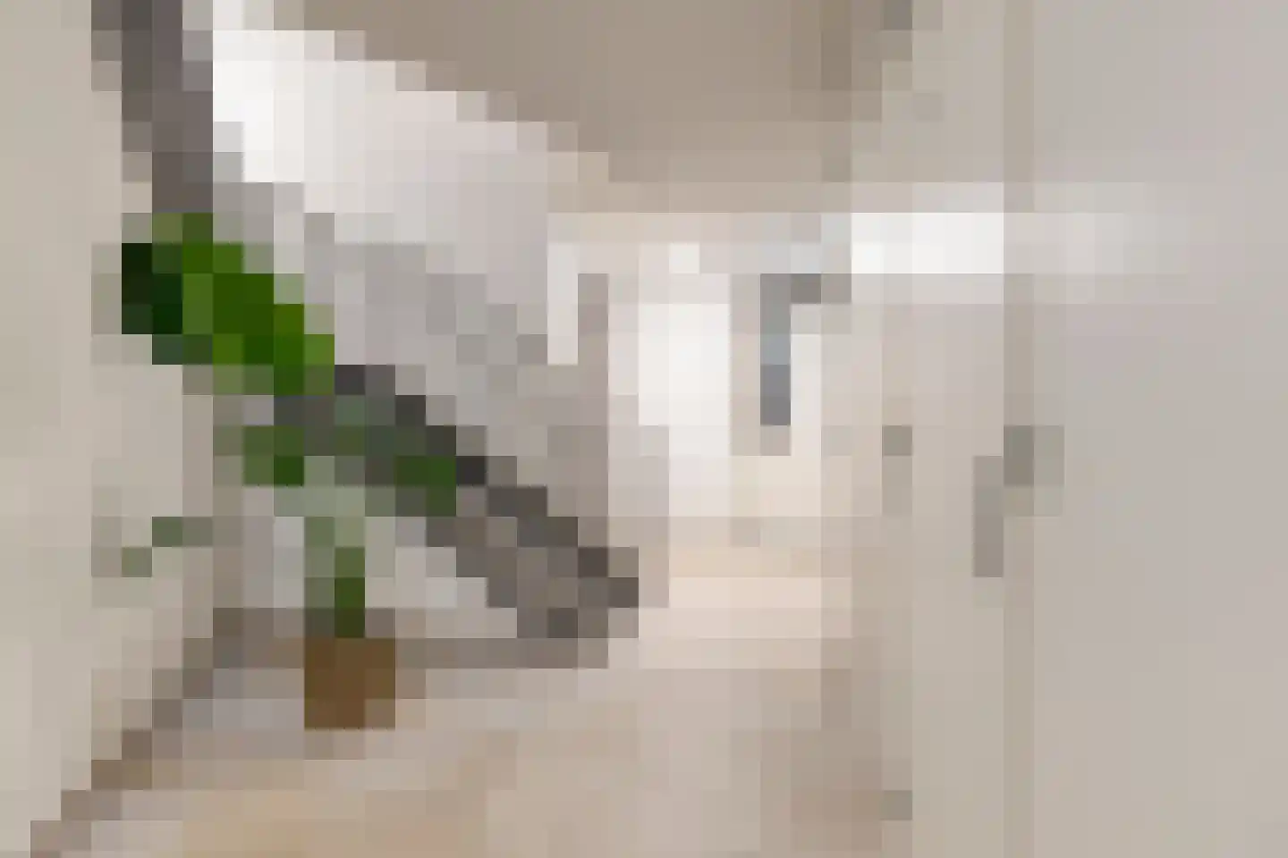 Heereweg 249 Lisse thumbnail 10