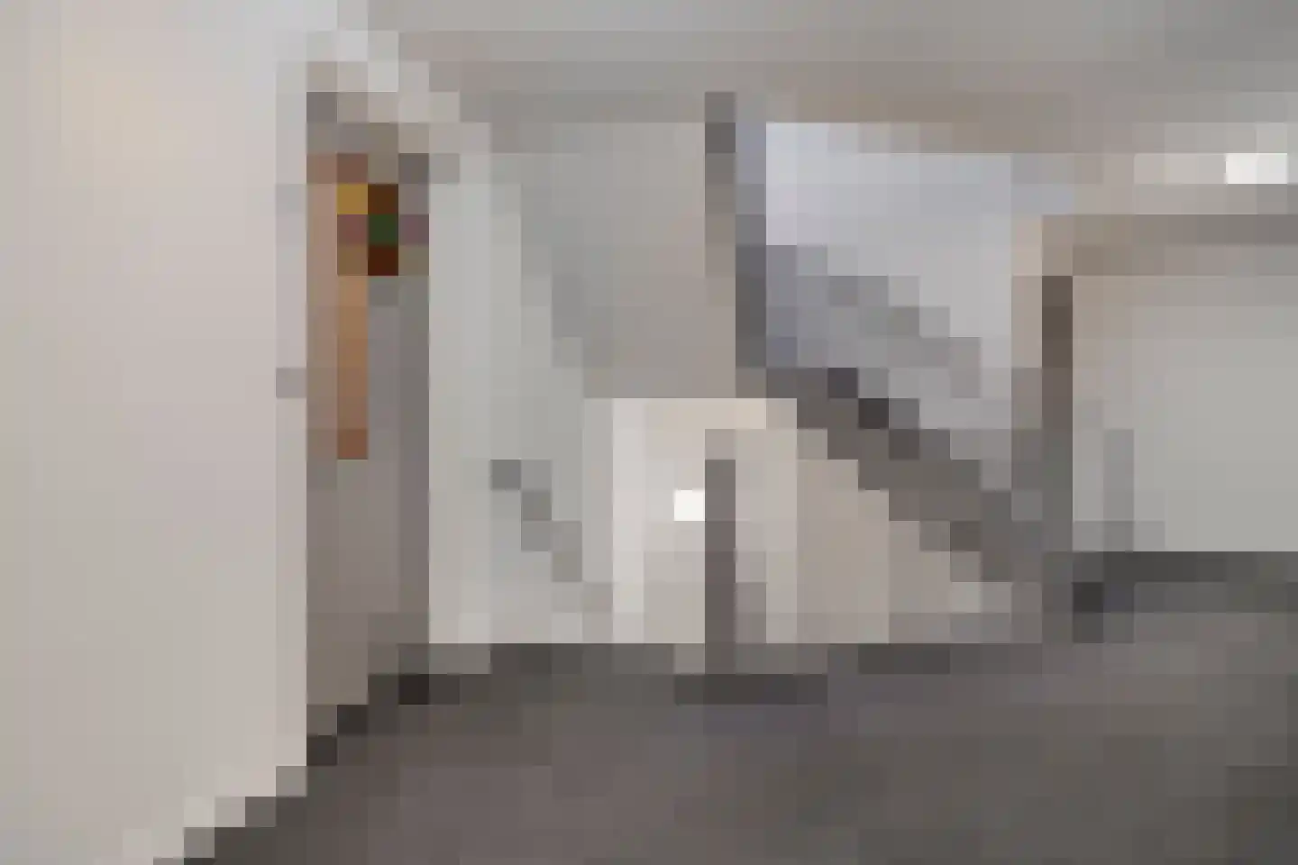 Heereweg 249 Lisse thumbnail 12