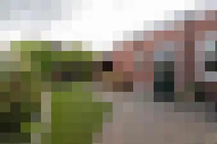 Heereweg 26 Aduard thumbnail 16
