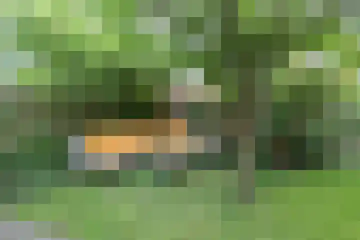 Heereweg 26 Aduard thumbnail 18