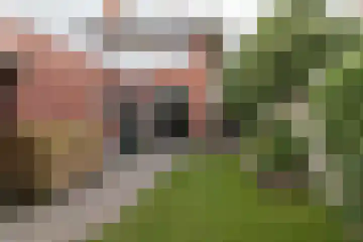 Heereweg 26 Aduard thumbnail 22
