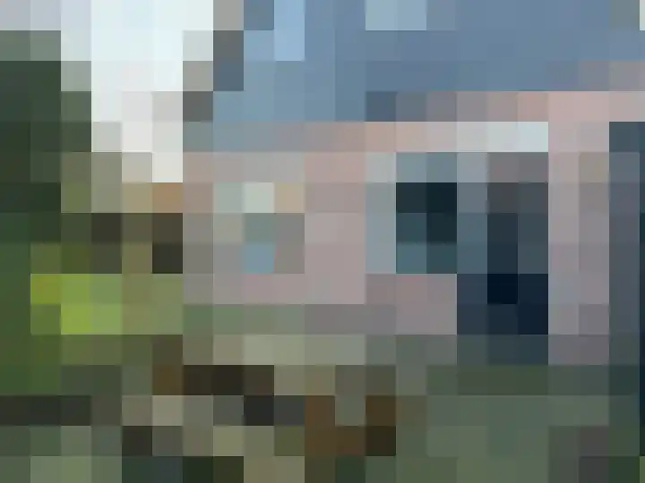 Heereweg 264 Groet thumbnail 17