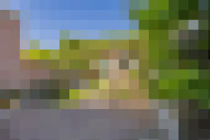 Heereweg 296 Lisse thumbnail 21