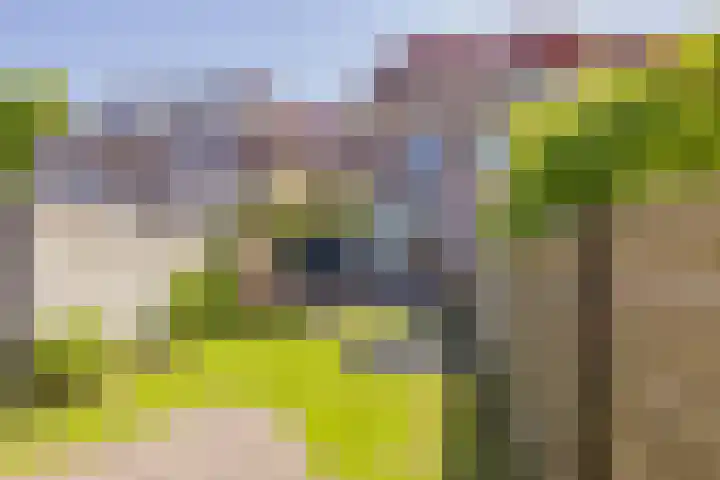 Heereweg 296 Lisse thumbnail 23