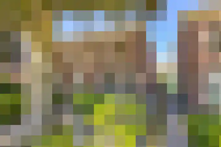 Heereweg 296 Lisse thumbnail 57