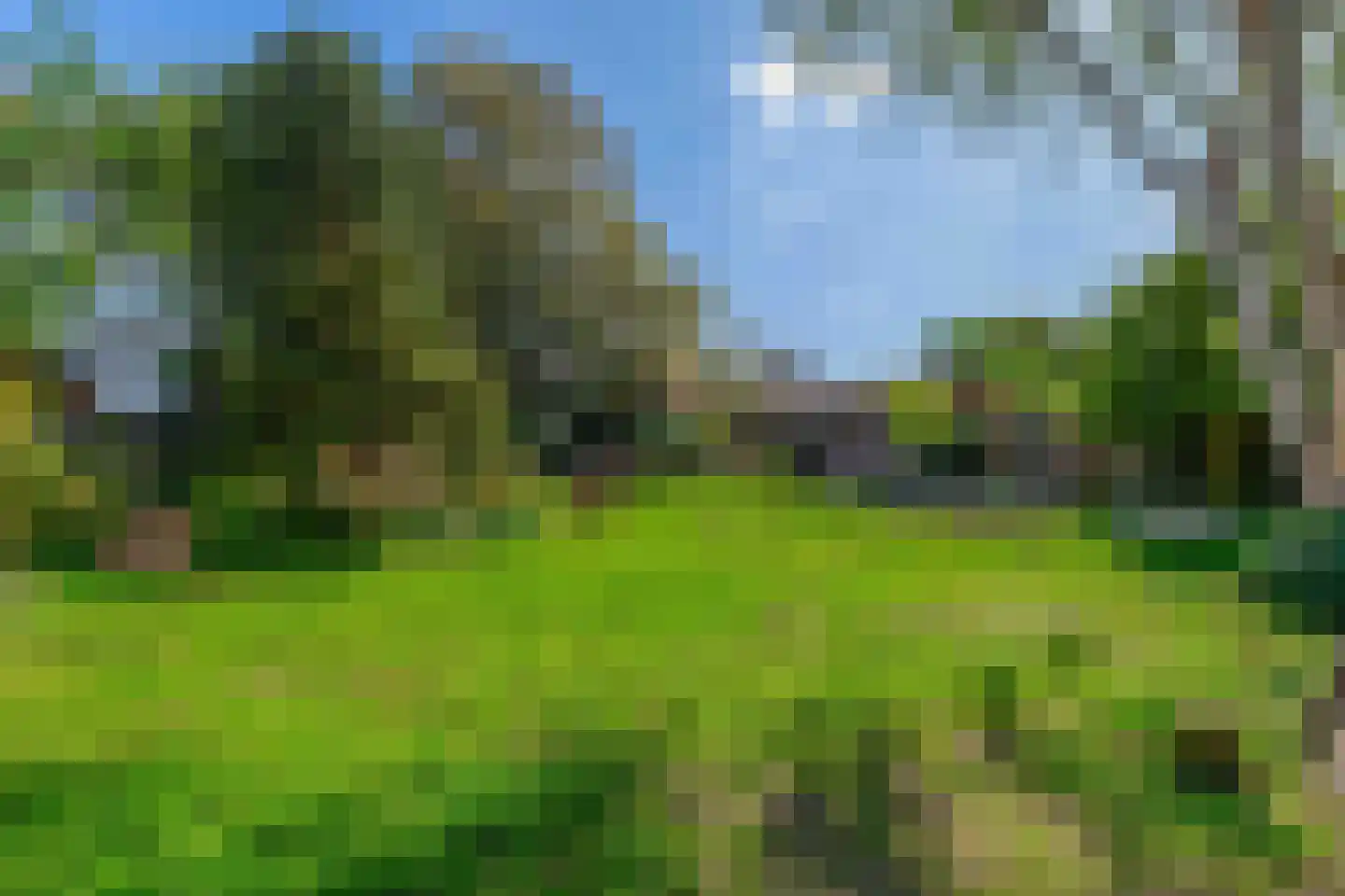 Heereweg 305 Lisse thumbnail 34