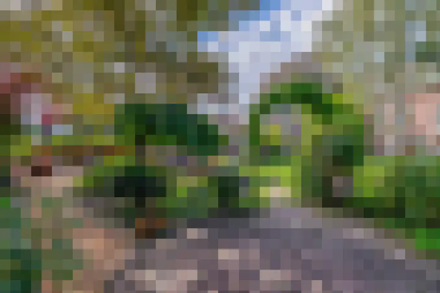 Heereweg 305 Lisse thumbnail 36