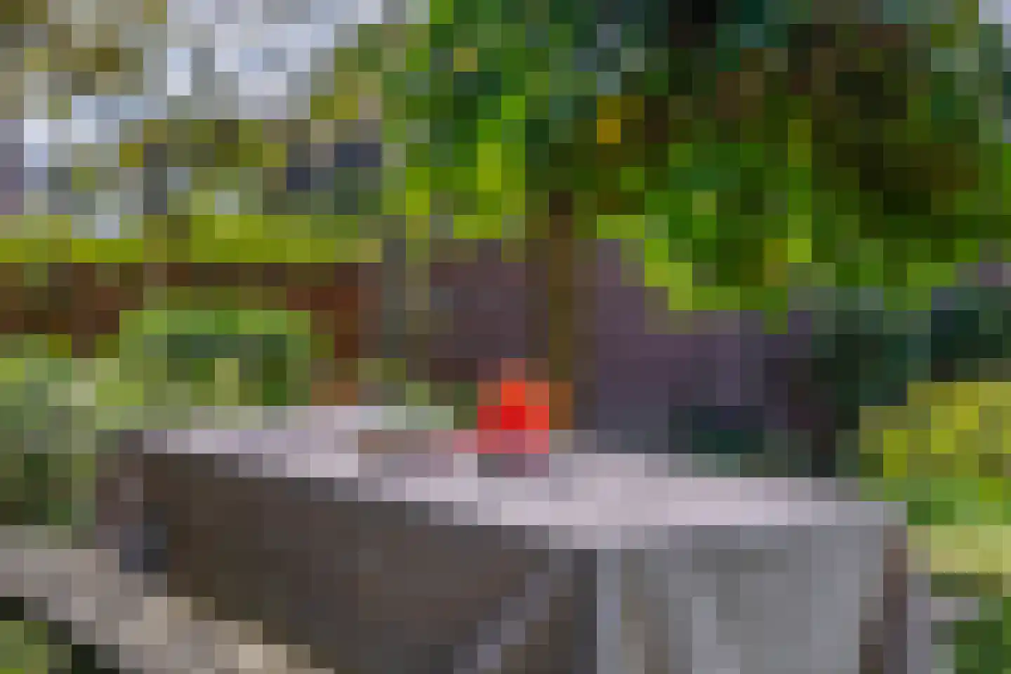 Heereweg 305 Lisse thumbnail 39