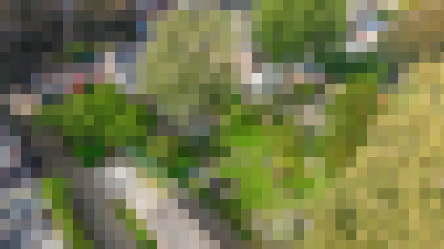 Heereweg 305 Lisse thumbnail 4