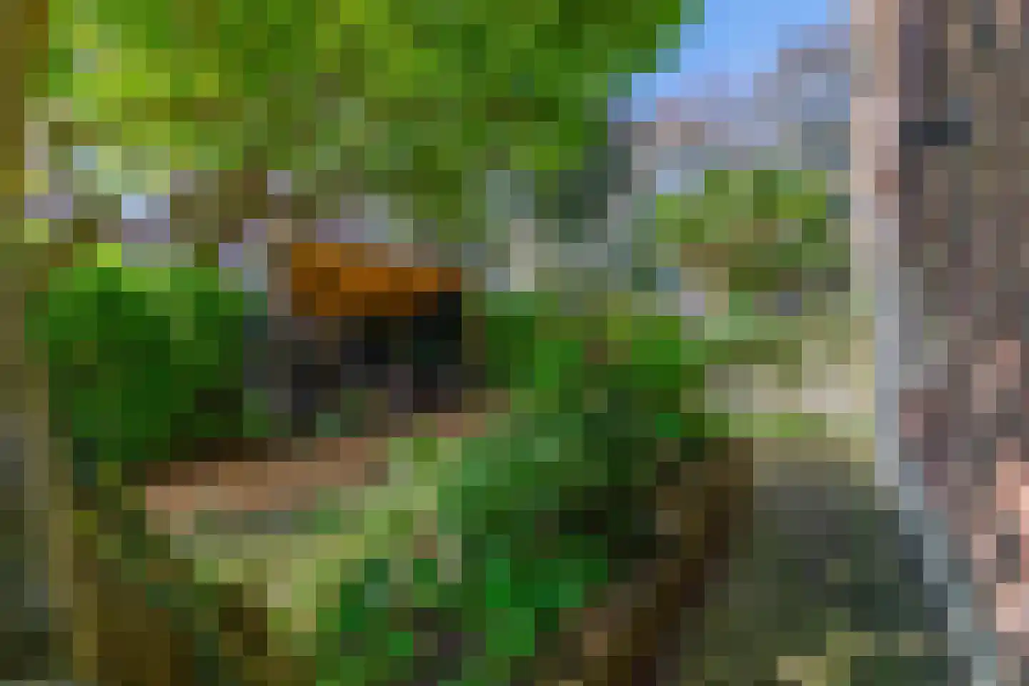 Heereweg 305 Lisse thumbnail 43