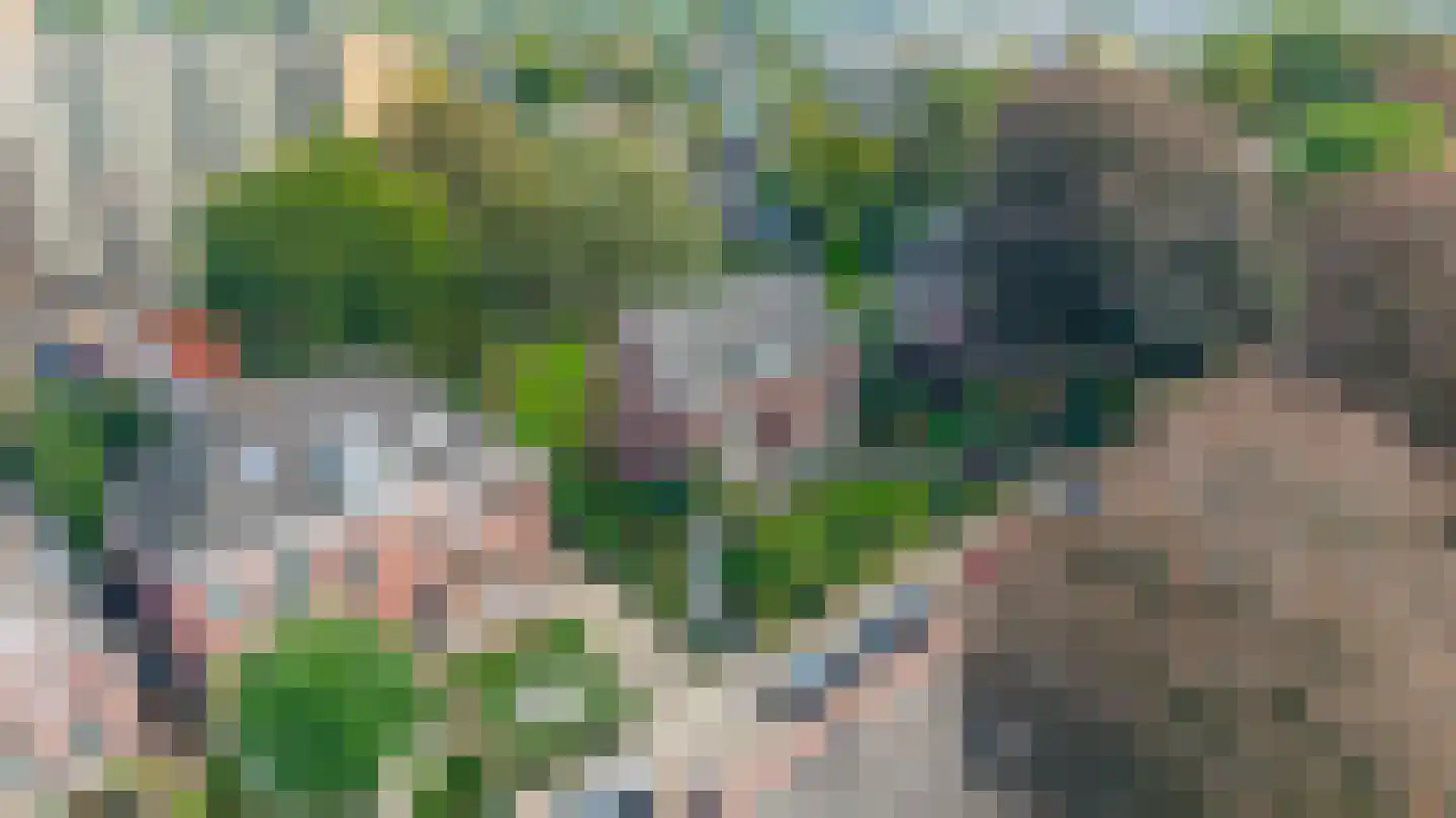 Heereweg 305 Lisse thumbnail 55