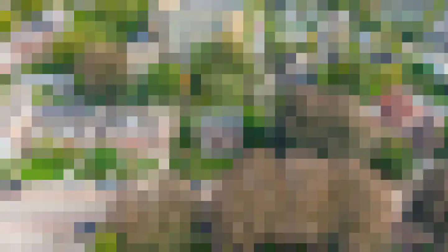 Heereweg 305 Lisse thumbnail 56
