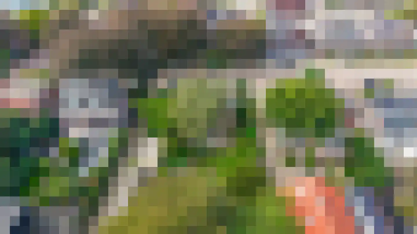 Heereweg 305 Lisse thumbnail 57