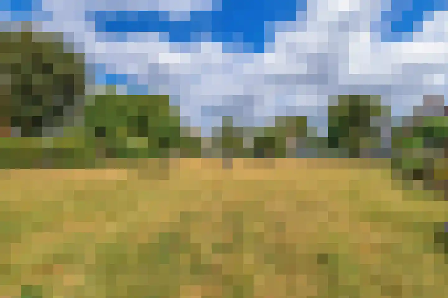 Heereweg 308 Lisse thumbnail 31