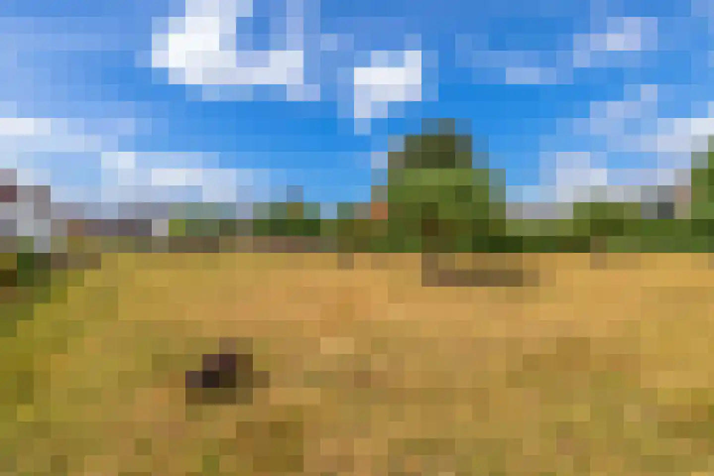 Heereweg 308 Lisse thumbnail 32