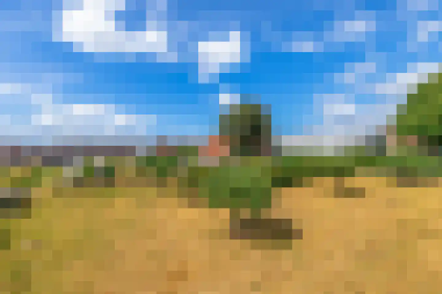 Heereweg 308 Lisse thumbnail 33