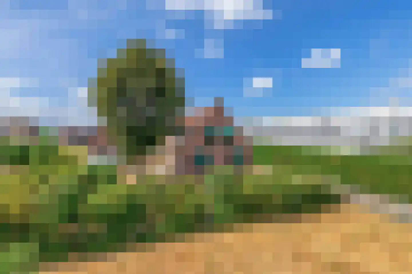 Heereweg 308 Lisse thumbnail 4