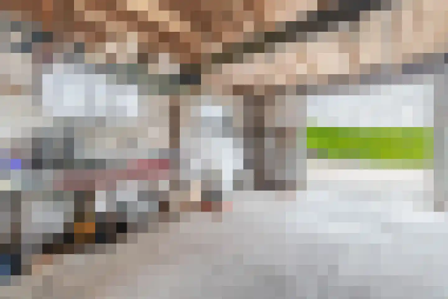 Heereweg 308 Lisse thumbnail 58
