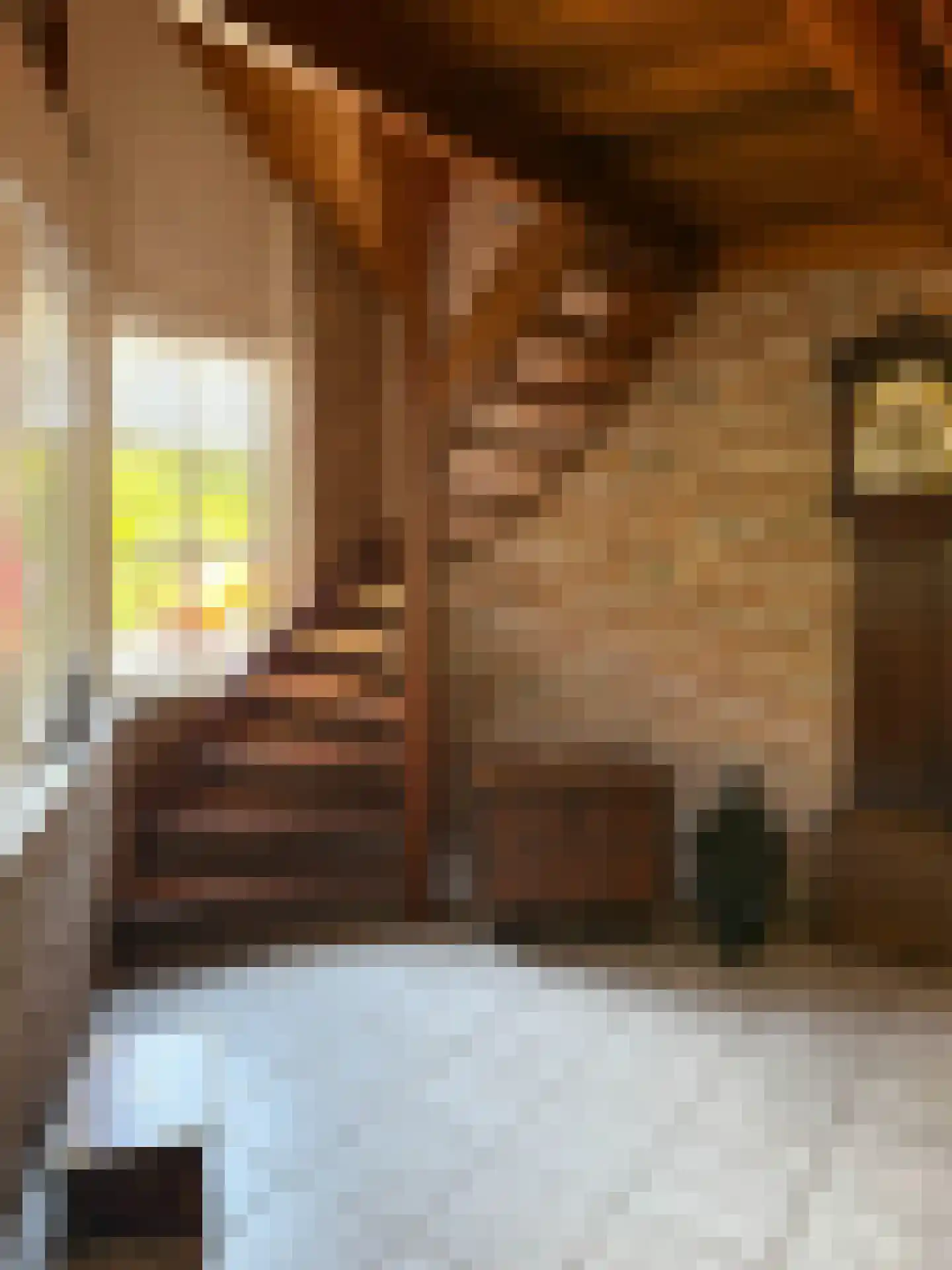 Heereweg 343 Schoorl thumbnail 24