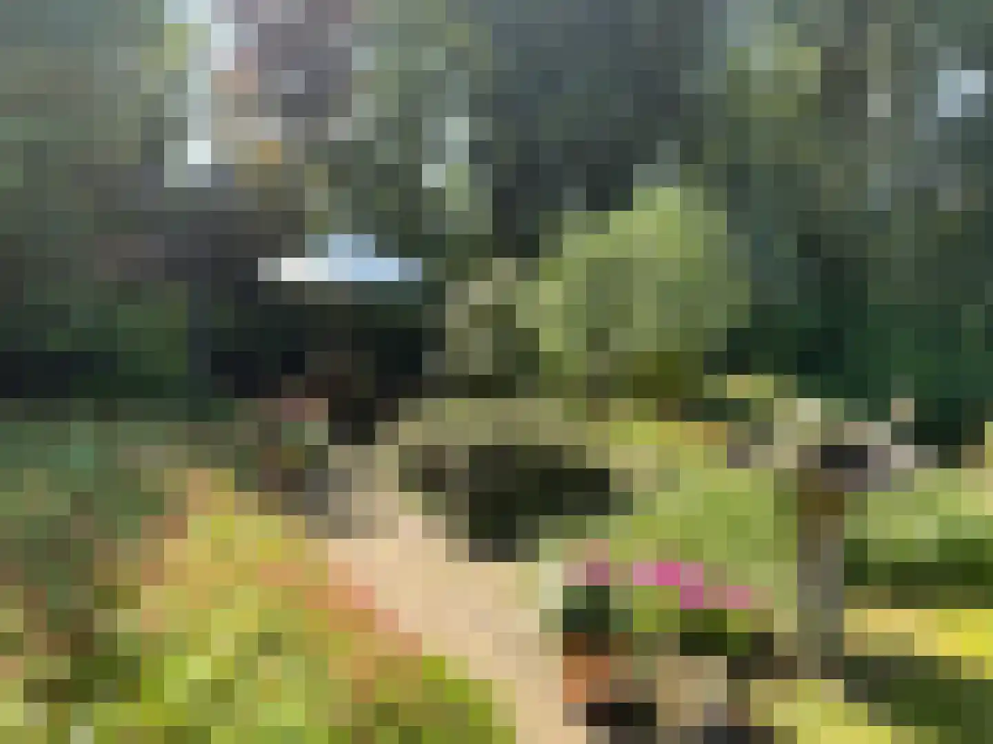 Heereweg 343 Schoorl thumbnail 40