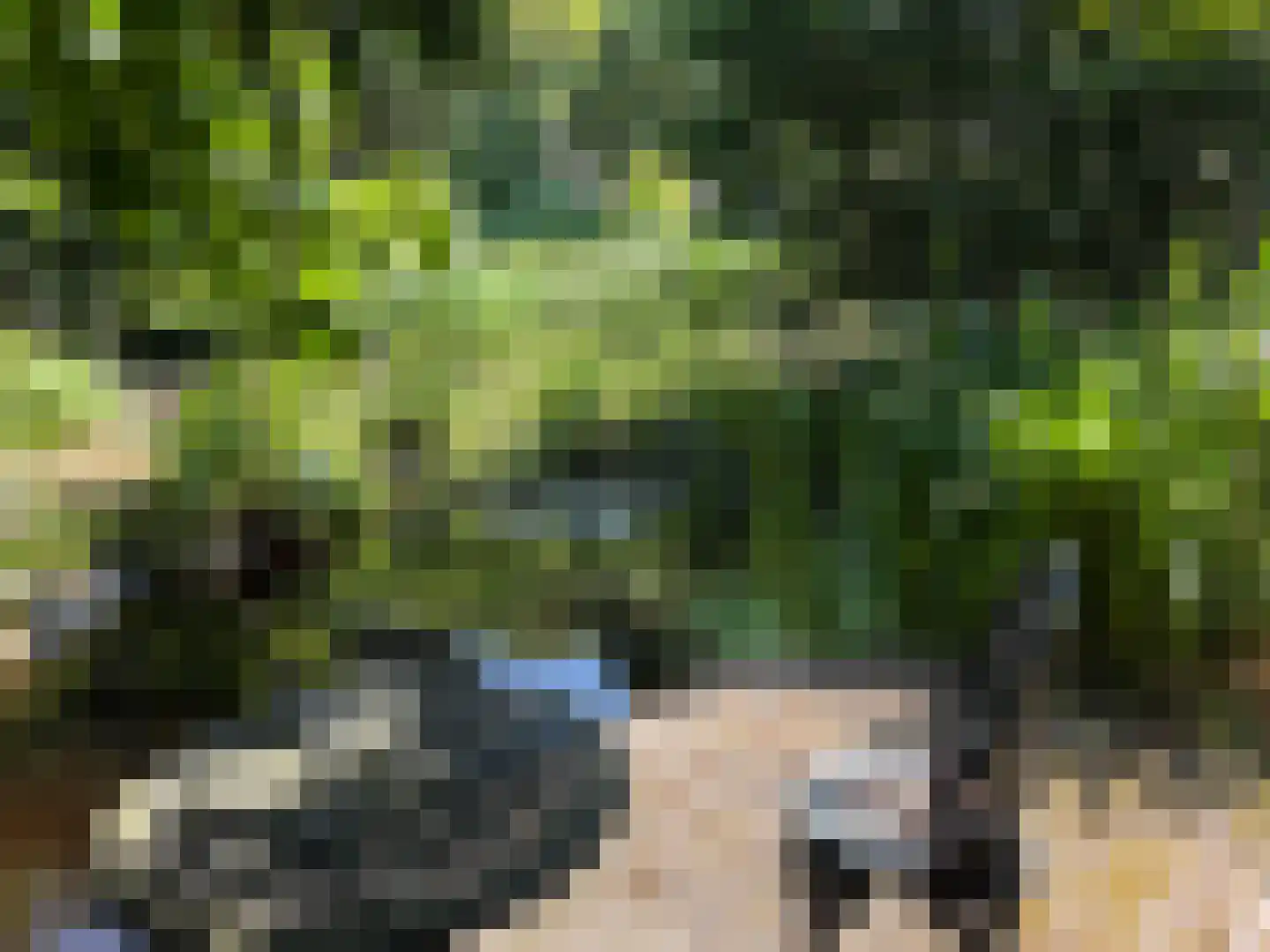 Heereweg 343 Schoorl thumbnail 42