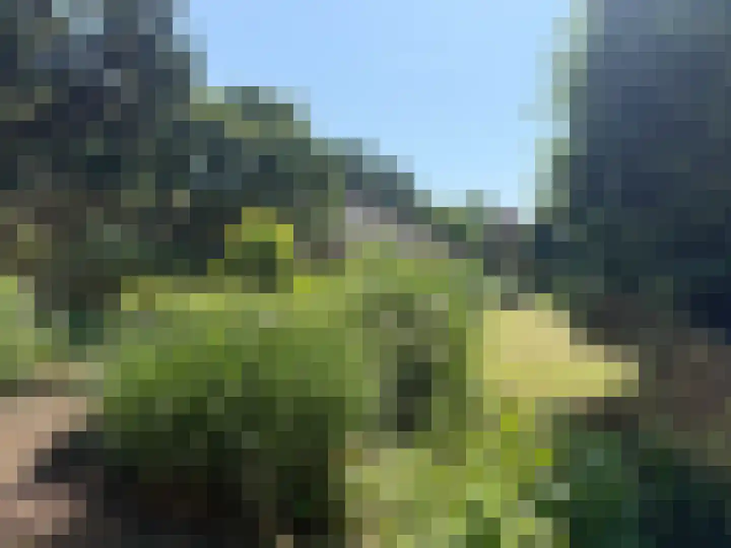 Heereweg 343 Schoorl thumbnail 43
