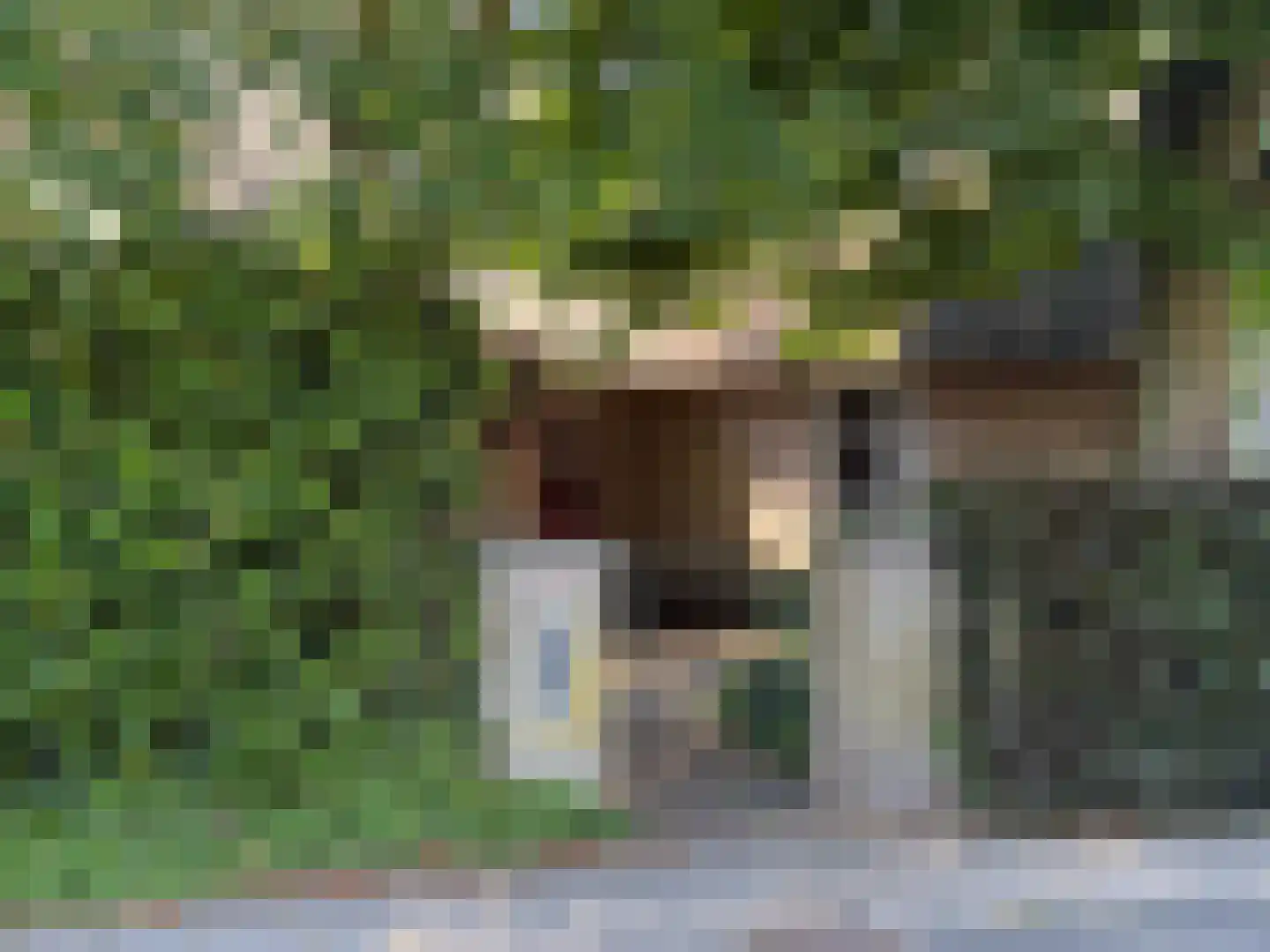 Heereweg 343 Schoorl thumbnail 44