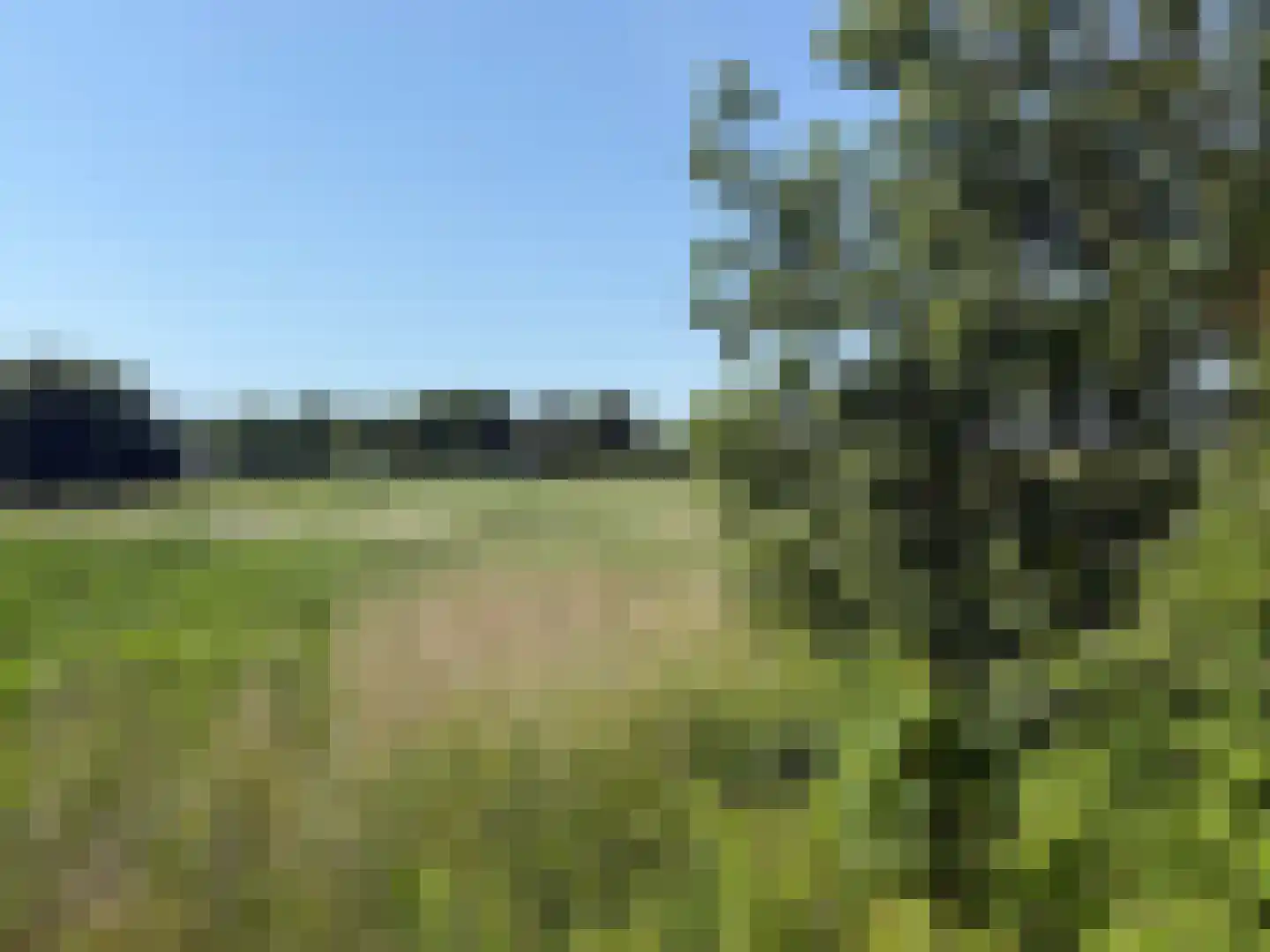 Heereweg 343 Schoorl thumbnail 46
