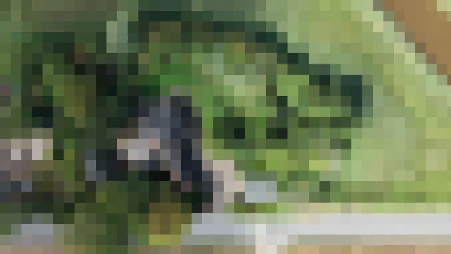 Heereweg 343 Schoorl thumbnail 48