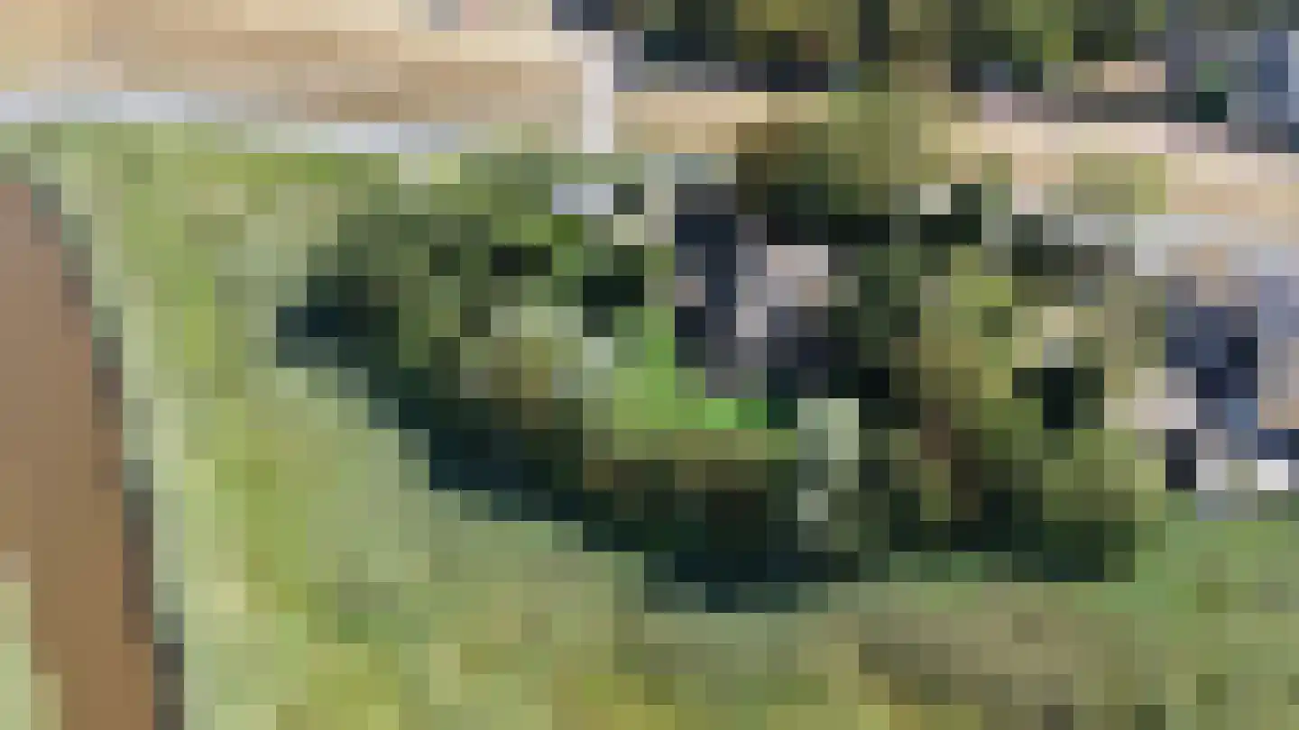 Heereweg 343 Schoorl thumbnail 49