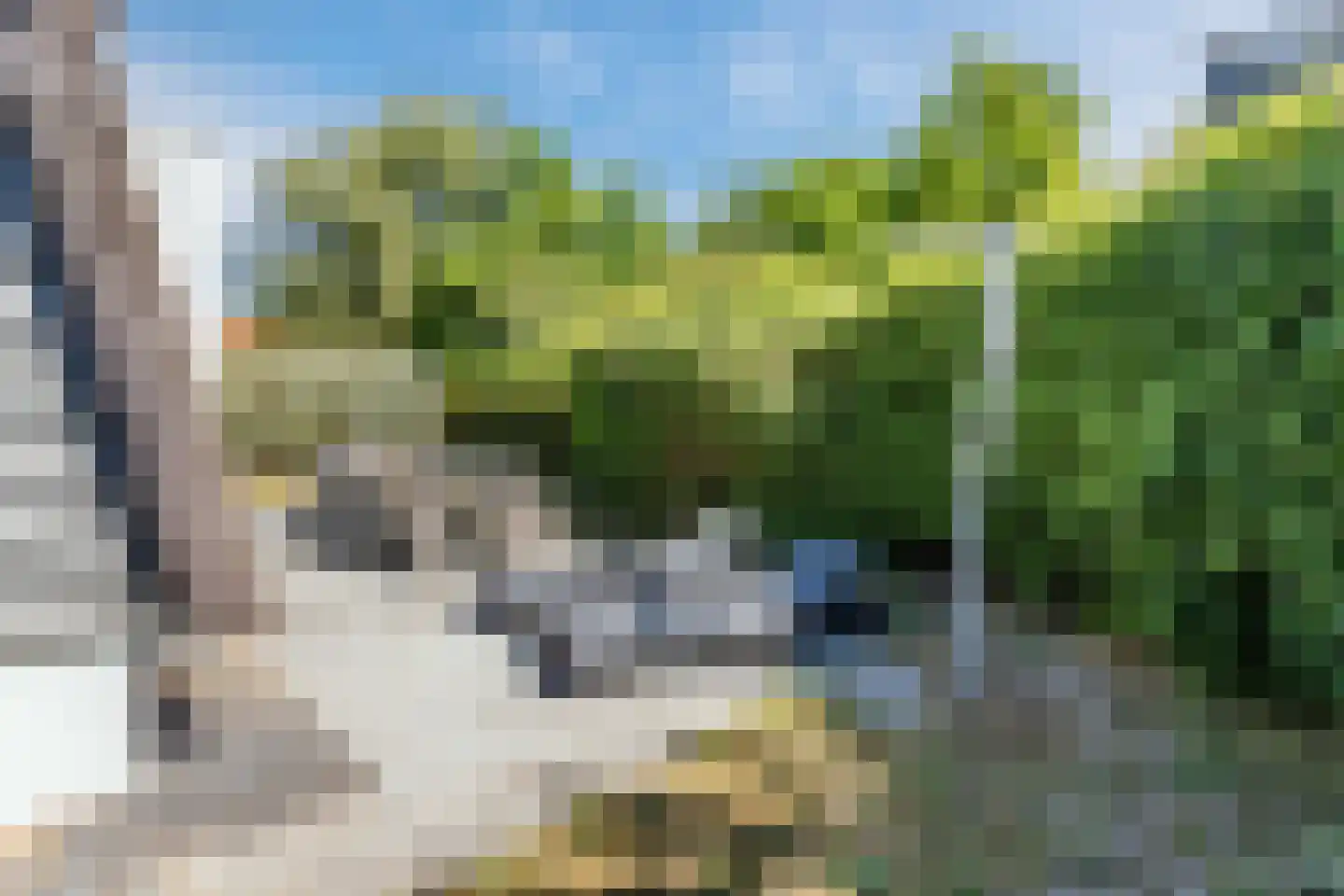 Heereweg 355 009 Schoorl thumbnail 29