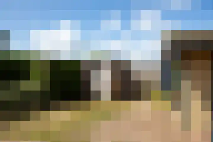 Heereweg 42 50 Midsland thumbnail 18