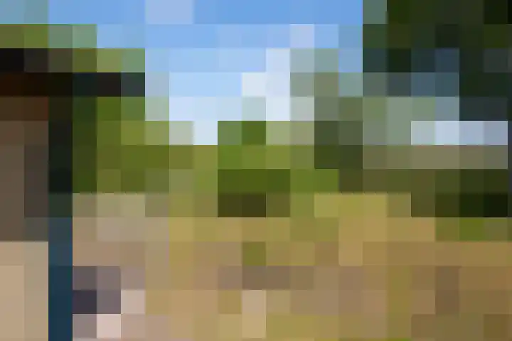Heereweg 42 50 Midsland thumbnail 19