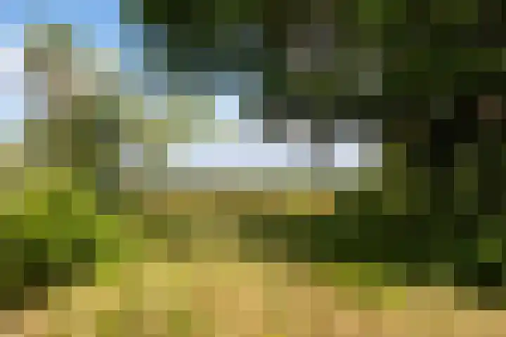 Heereweg 42 50 Midsland thumbnail 20