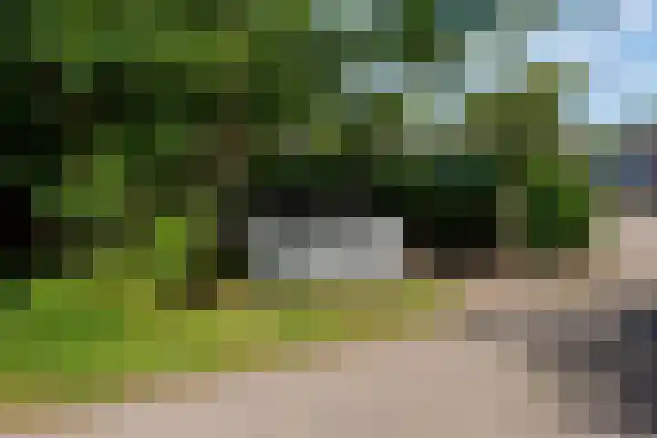 Heereweg 42 50 Midsland thumbnail 21